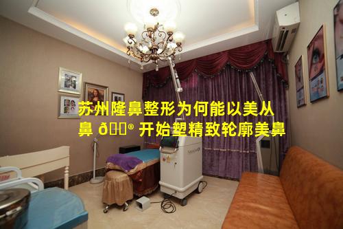 苏州隆鼻整形为何能以美从鼻 💮 开始塑精致轮廓美鼻